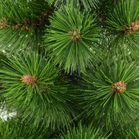 Ель Erbis Zylk 120