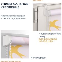 Мини рулонные шторы Franc Gardiner Print Небесные ласточки 110x160 9403217934 (мультиколор)