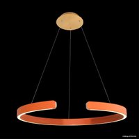 Подвесная люстра LOFT IT Ring 10025/600 Orange