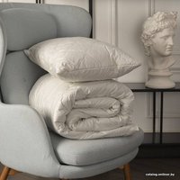 Одеяло Kariguz Верблюжья Шерсть МПВ21-4-3.1 172x205