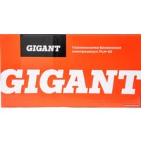 Газонокосилка Gigant PLM-05