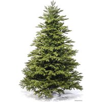 Ель Царь Елка Байкальская 1.5 м