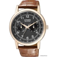 Наручные часы Citizen AO9003-08E