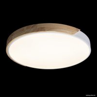 Светильник-тарелка LOFT IT Axel 10004/36 (белый)