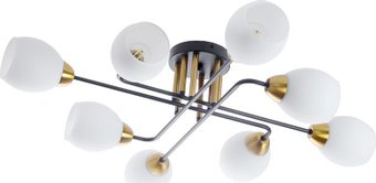 Подвесная люстра Arte Lamp Andrea A8141PL-8BK