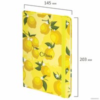 Ежедневник BRAUBERG Lemons 113727 в Гомеле