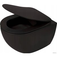 Унитаз подвесной Deante Peonia Nero CDEDNZPW