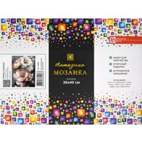 Алмазная мозаика  Феникс+ Пионы с золотом 70846