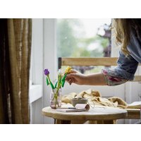 Конструктор LEGO Creator Expert 40461 Тюльпаны