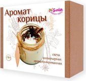 Аромат корицы 6203