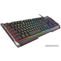 Клавиатура Genesis Rhod 400 RGB