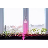 Светодиодная лампочка TDM Electric SQ0340-0237