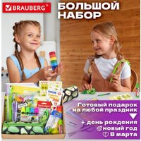 Набор школьника BRAUBERG Подарочный 880951 (43 предмета)