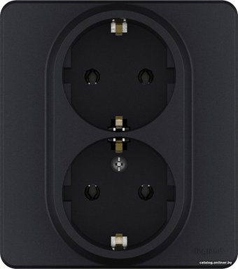 Розетка Legrand Inspiria 673753