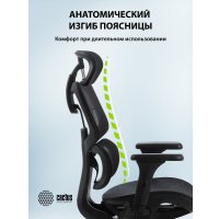 Офисное кресло CACTUS CS-MC555-BK (черный) в Борисове