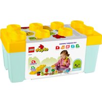 Конструктор LEGO Duplo 10984 Органический сад