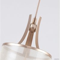 Подвесная люстра Favourite Himiko 2551-1P в Борисове