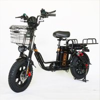 Электровелосипед Favorit THOR-20