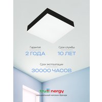 Припотолочная люстра TruEnergy 11170