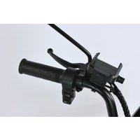 Электровелосипед Smart Balance Fiesta Pro 2025