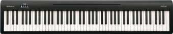 Roland FP-10