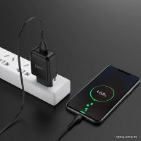 Сетевое зарядное Hoco N2 microUSB (черный)