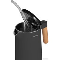 Электрический чайник Concept RK3302