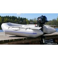 Лодочный мотор Parsun F2.6 BMS