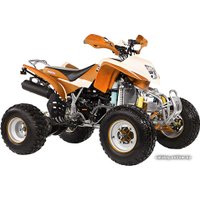 Квадроцикл IRBIS ATV 250S