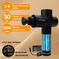 Перкуссионный массажер KaringBee KB-M100 (черный) в Бобруйске
