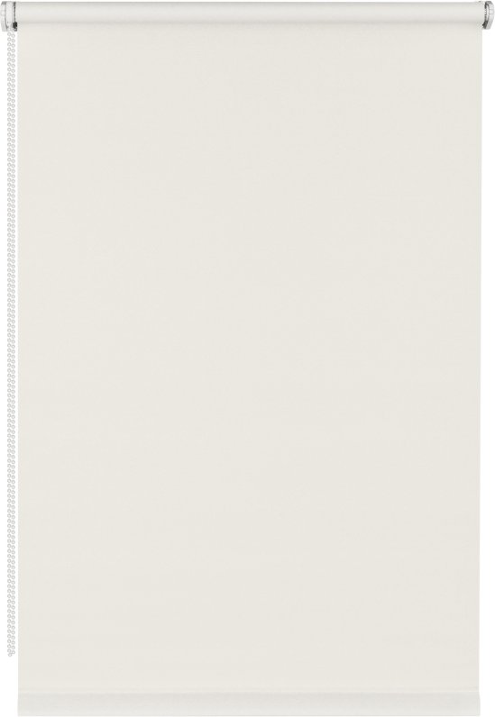 

Рулонные шторы Franc Gardiner Glasgow 50x160 9403219214 (белый)