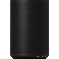 Беспроводная аудиосистема Sonos Era 100 (черный)
