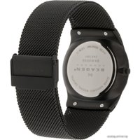 Наручные часы Skagen SKW6006