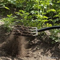 Вилы Plantic Terra 24400-01 в Бресте