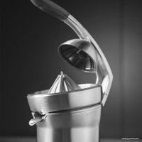 Соковыжималка BORK Z800