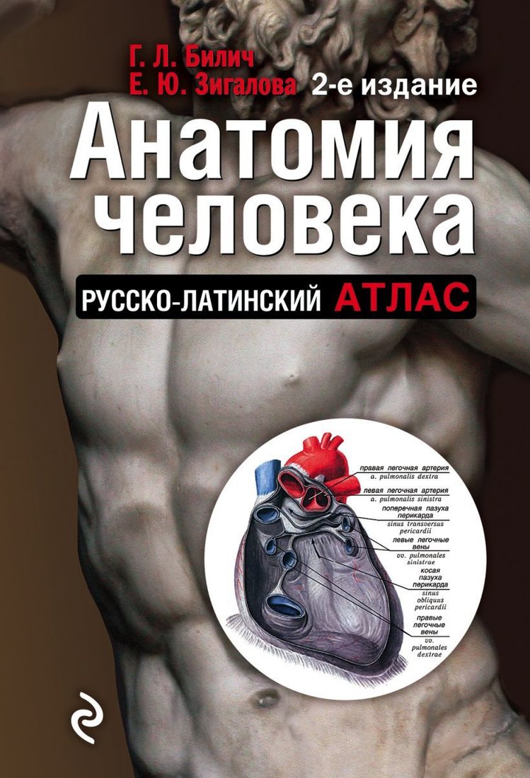 

Книга издательства Эксмо. Анатомия человека: Русско-латинский атлас. 2-е издание (Билич Габриэль Лазаревич/Зигалова Елена Юрьевна)