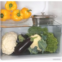 Холодильник Snaige FR26SM-PRDI0E