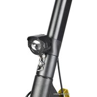 Электросамокат White Siberia Sputnik 2000W Siberian Gold (золотой)