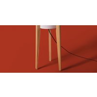 Торшер Freya Bliss FR5543FL-01T