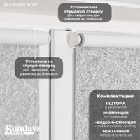 Рулонные шторы Sundays Home LM 97-08 38х160 (светло-серый)