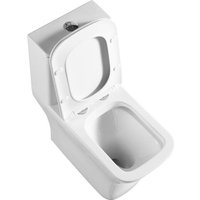 Унитаз напольный BelBagno Neon BB8617CPR-MN/SC