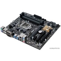Материнская плата ASUS B150M-C D3