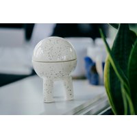 Декоративная шкатулка Ceramicmay Космошкатулка перепелка