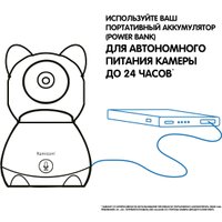 Видеоняня Ramicom VRC300TR