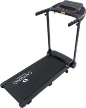 Беговые дорожки