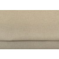 Мини римская штора Delfa Roman СШД-01М 170/8834 62x160 (бежевый)