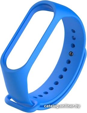 Ремешок Evolution XMB5-S01 для Xiaomi Mi Band 5/Mi Smart Band 5 (синий)