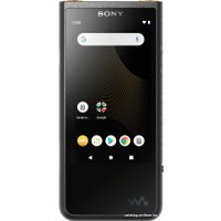 Hi-Fi плеер Sony Walkman NW-ZX507 (черный)