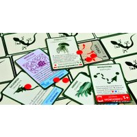 Настольная игра Правильные игры Эволюция. Подарочное издание