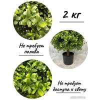 Искусственное растение Merry Bear Home Decor Самшит шаровидный KM5305